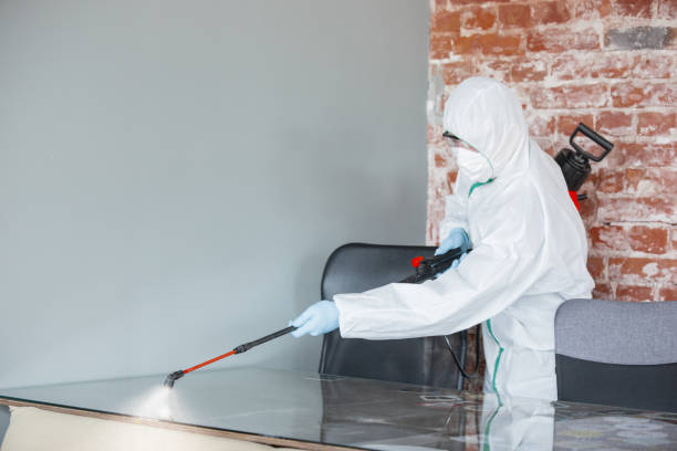 Mold Odor Removal Services in Big River, CA